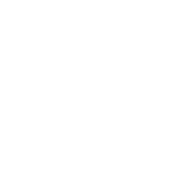 Logo Wordpress